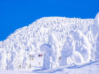 A slope through the snow monsters (soft rime) plateau. (Zao-onsen ski resort, Yamagata, Japan)