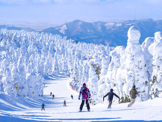 People racing down in a slope through the snow monsters (soft rime). (Zao-onsen ski resort,...