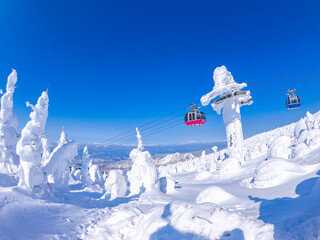 Snow monsters (soft rime) with cable cars behind (Zao-onsen ski resort, Yamagata, Japan)
