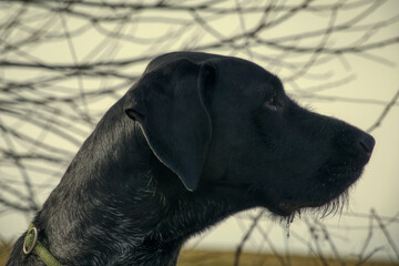 Alles im Blick