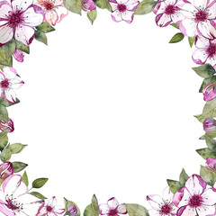 Watercolor flower design elements collection garden bright flowers, leaves, branches, flower frame. Botanical illustration isolated on transparent background