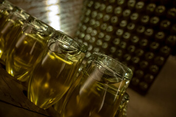 Sparkling wine production by traditional methods in underground cellars in Vienna, Austria