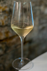Tasting of brut champagne sparkling wine produced by traditional method in underground caves
