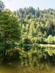 Landscapes in Southern Black Forest in Germany - View of the legendary bathing lake of Nonnenmattweiher in a magnificent bottom of cirque on the slopes of the Köhlgarten massif 