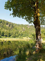 Fototapeta premium Landscapes of Black Forest in Germany - View of the legendary bathing lake of Nonnenmattweiher in a magnificent bottom of cirque on the slopes of the Köhlgarten massif 