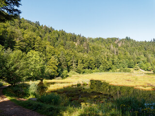Fototapeta na wymiar Nonnenmattweiher lake with peat island in a magnificent bottom of cirque of Southern Black Forest in Baden-Württemberg in Germany