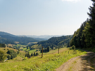 Landscape of Black Forest in Germany. Hiking path between bottom of cirque of Nonnenmattweiher and...