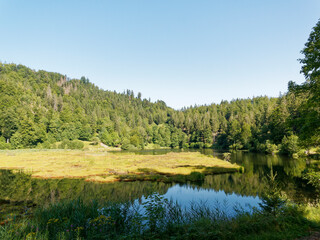 Fototapeta na wymiar Nonnenmattweiher lake with peat island in a magnificent bottom of cirque of Southern Black Forest in Baden-Württemberg in Germany