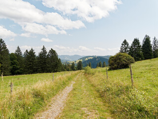 Fototapeta na wymiar Landscape of Black Forest in Germany. Hiking path between bottom of cirque of Nonnenmattweiher and the Kreuzweg parking area with view to forested mountains, pastures in Münstertal valley and Belchen 