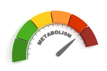 Metabolism level scale with arrow. 3D Render - obrazy, fototapety, plakaty