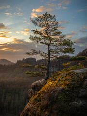 In the first sunlight - Im ersten Sonnenlicht