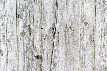 Wood texture background. Old white painted fence. Solid wooden wall from weathered cracked boards. Barn wood wall.