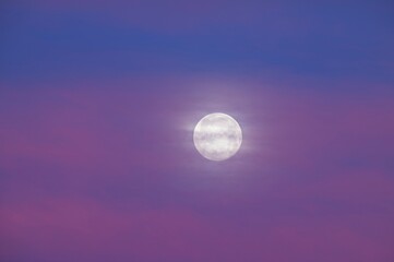 Naklejka na ściany i meble Full Moon Behind Clouds in a Purple Sunrise Sky