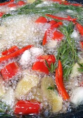 koi fish in the pond