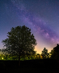 Fototapeta na wymiar Starry sky with pink Milky Way. Night landscape with trees in forground against colorful milky way