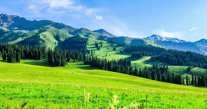 Nalati grassland and mountain natural landscape under blue sky. Green grassland and beautiful mountain in Xinjiang, China.