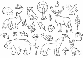 Woodland Animals Forest Doodle Icons Sketch. Hand Drawn Design Vector