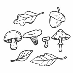 Doodle leaves and mushrooms set. Forest and woodland concept