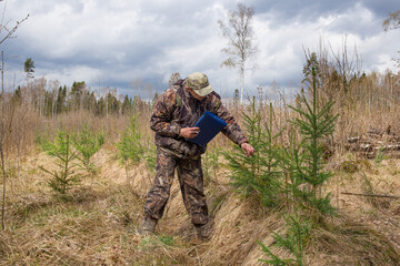 Ecologist examines young trees. planted in the forest.