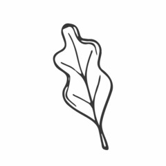 Doodle forest leaf. Hand drawn vector lineart.