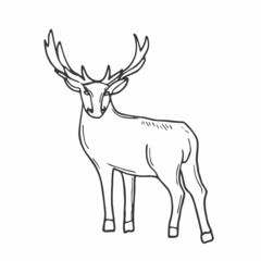 Naklejka na ściany i meble Hornet deer. Lineart doodle. Woodland concept