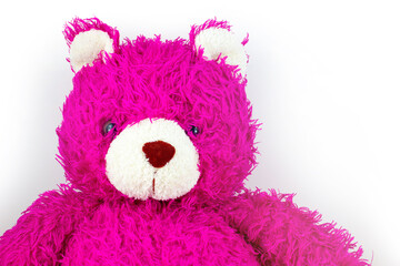 Pink Teddy Bear with copy space