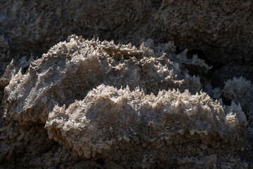 Salt Crystals near the Dead Sea, Israel