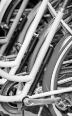 Colorful bicycles or bikes parked in the summer park outdoors, wheel closeup.