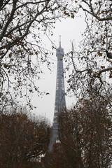 The Eiffel tower, view from Champ de Mars, Paris, France	