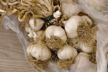 a bunch of dried garlic - lots of dried garlic heads,close-up dried garlic in a bunch,