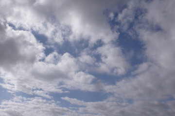 Cielo
