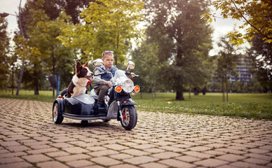 boy making frowning face on a electrical bike, driving a dog in sidecar