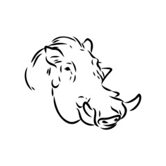 Black and white vector line drawing of a Warthog