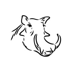 Black and white vector line drawing of a Warthog