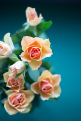 #roses #bouquet 