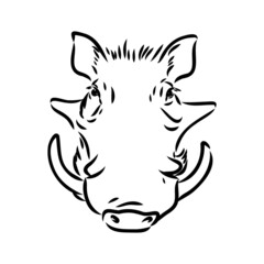 Black and white vector line drawing of a Warthog