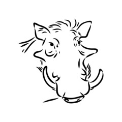 Black and white vector line drawing of a Warthog