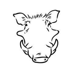 Black and white vector line drawing of a Warthog