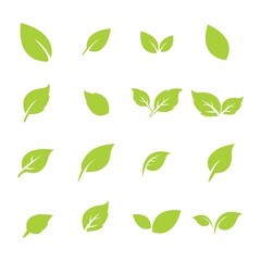 green leaf logo icon vector design and template