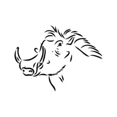 Black and white vector line drawing of a Warthog
