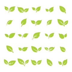 green leaf logo icon vector design and template