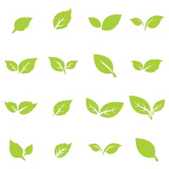 green leaf logo icon vector design and template