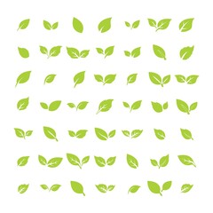green leaf logo icon vector design and template