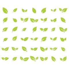 green leaf logo icon vector design and template