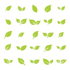 green leaf logo icon vector design and template