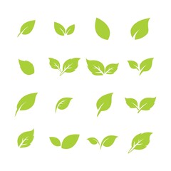 green leaf logo icon vector design and template