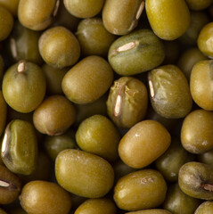 Mung beans as a background.