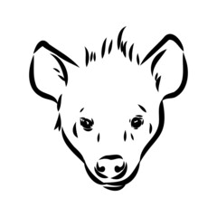 Graphical vintage sketch of hyena ,vector illustration