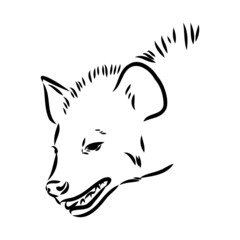 Graphical vintage sketch of hyena ,vector illustration