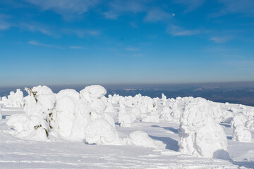 Fototapeta na wymiar landscape with ice and snow